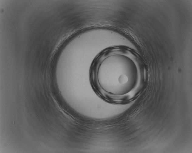 X0000070180736200605261132