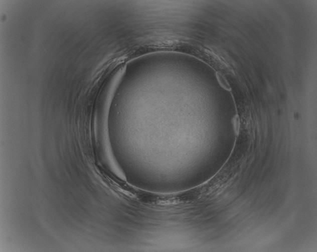 X0000070180744200605261132