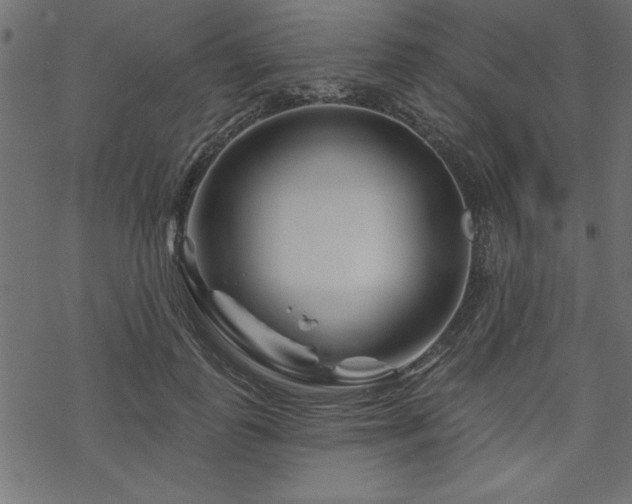 X0000070180747200605261132
