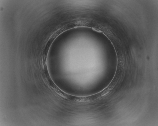 X0000070180755200605261132