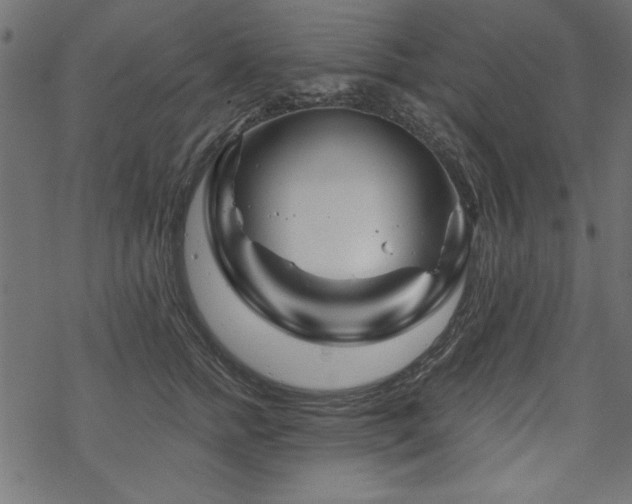 X0000070180758200605261132