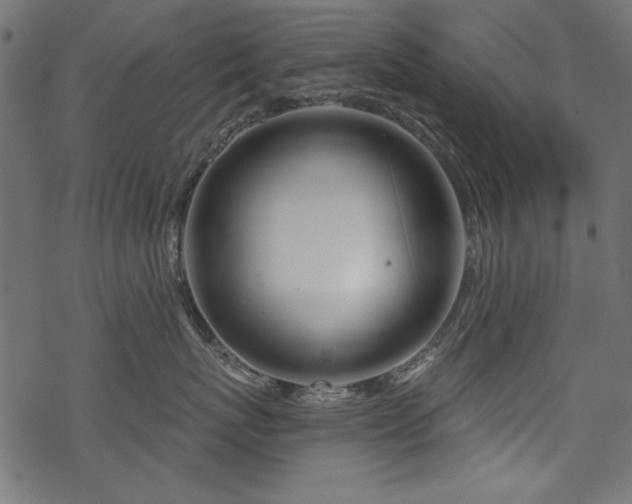 X0000070180767200605261132