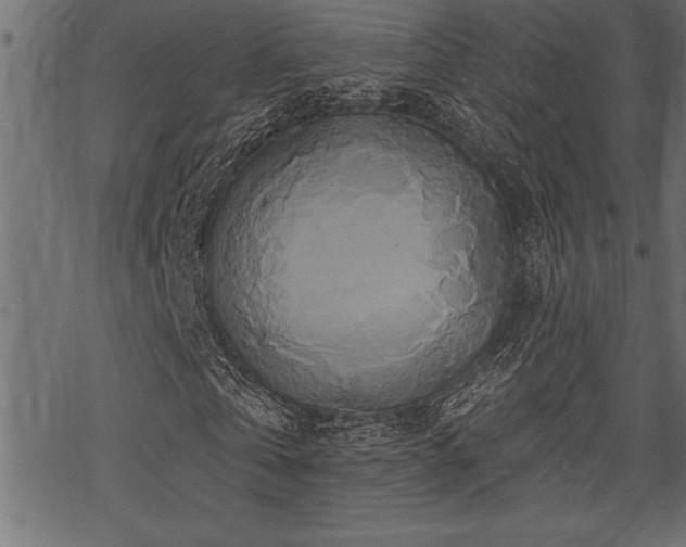 X0000070180769200605261132