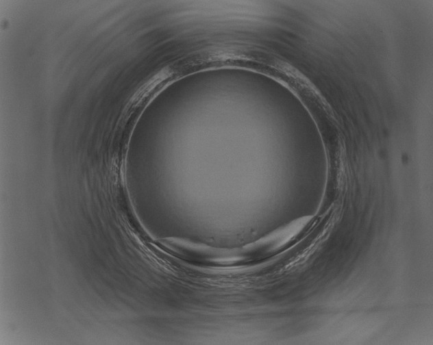 X0000070180785200605261131