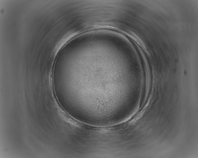 X0000070180814200605261131