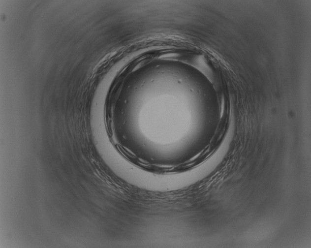 X0000070180824200605261130