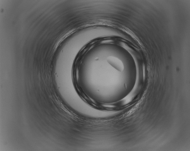 X0000070180826200605261130