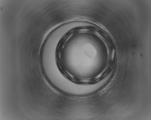 X0000070180838200605261130