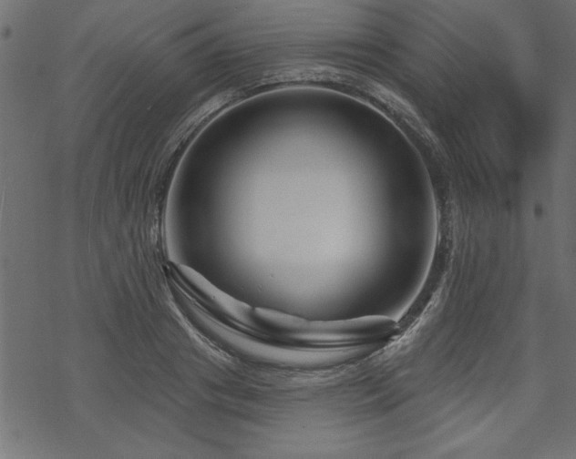 X0000070180841200605261130