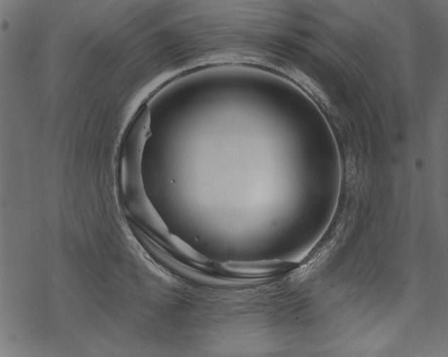 X0000070180854200605261131