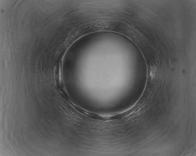 X0000070180867200605261130