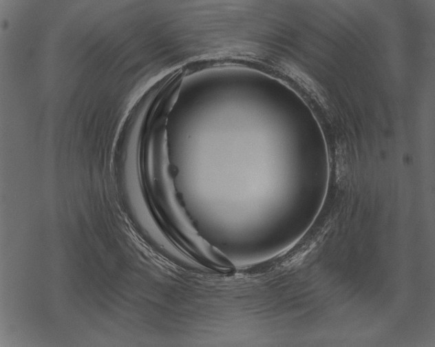 X0000070180876200605261130