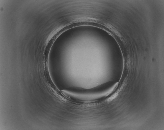 X0000070180877200605261130