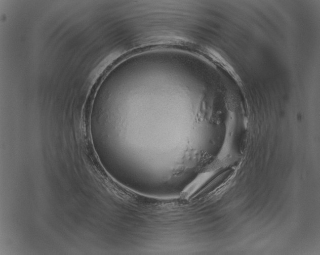 X0000070180883200605261130