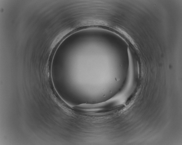 X0000070180885200605261130