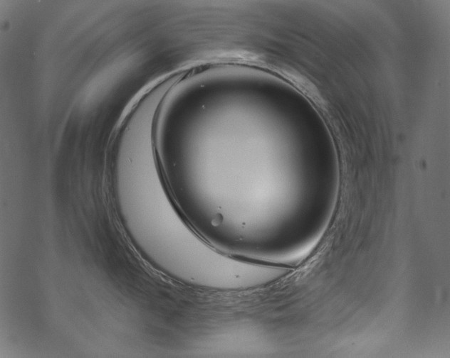 X0000070180912200605261129