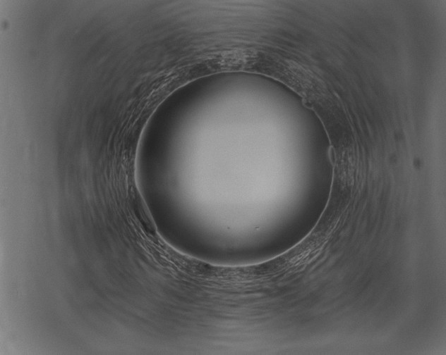 X0000070180962200605261128