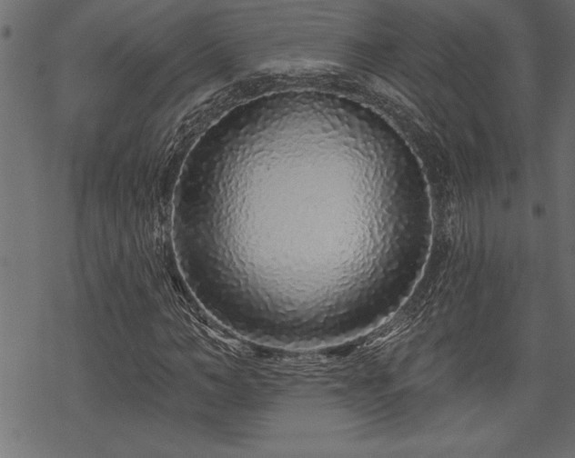 X0000070180966200605261128