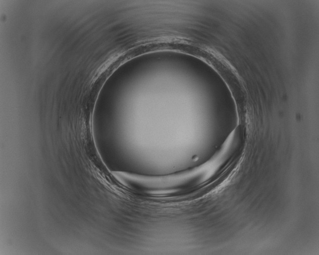 X0000070180969200605261128