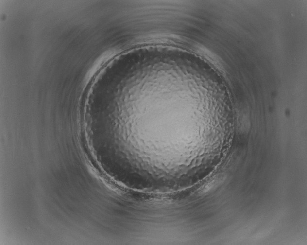 X0000070180994200605261128