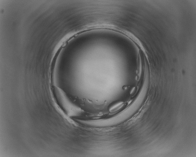 X0000070181005200605261128