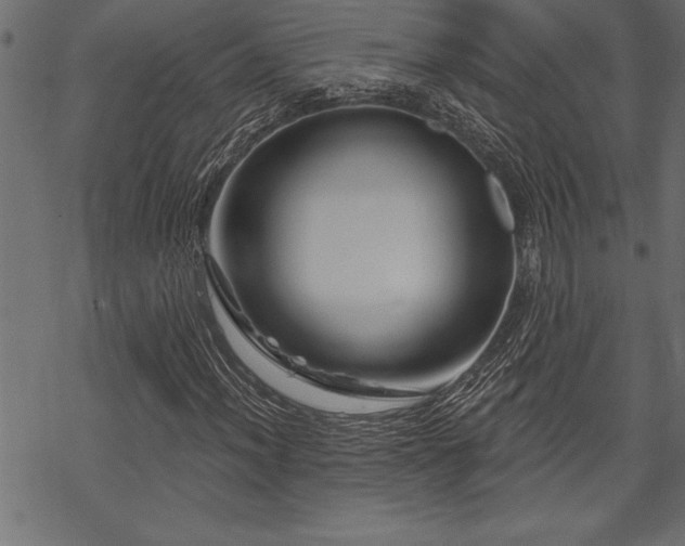 X0000070181012200605261127