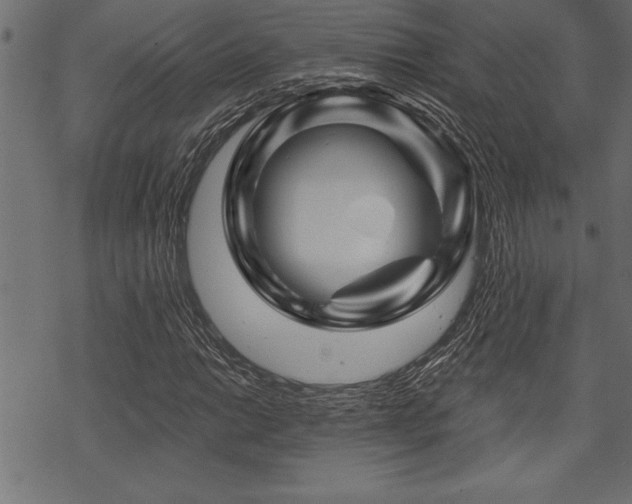 X0000070181014200605261127