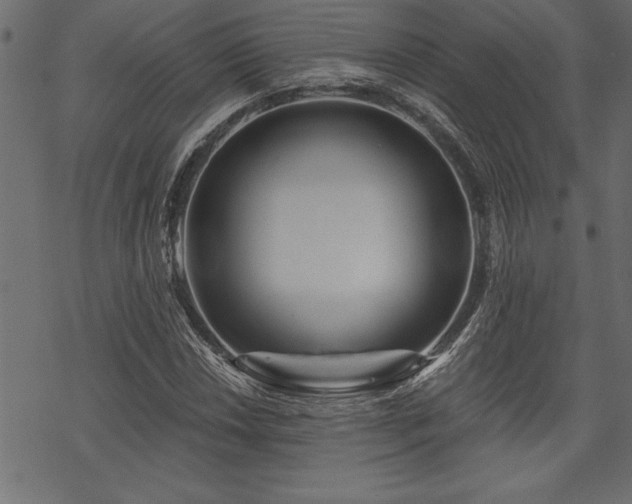 X0000070181018200605261127