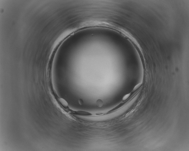 X0000070181053200605261128
