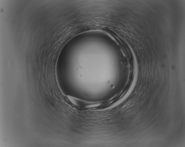 X0000070181057200605261127