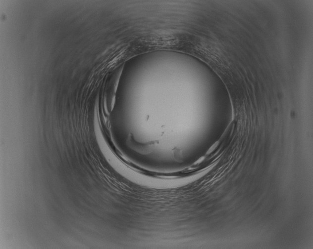 X0000070181058200605261127