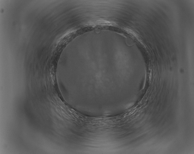 X0000070181063200605261127