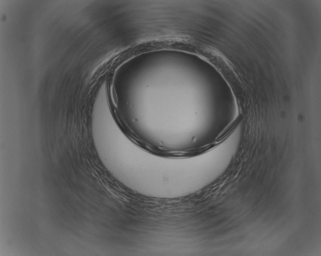 X0000070181064200605261127