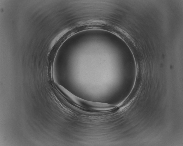 X0000070181066200605261127
