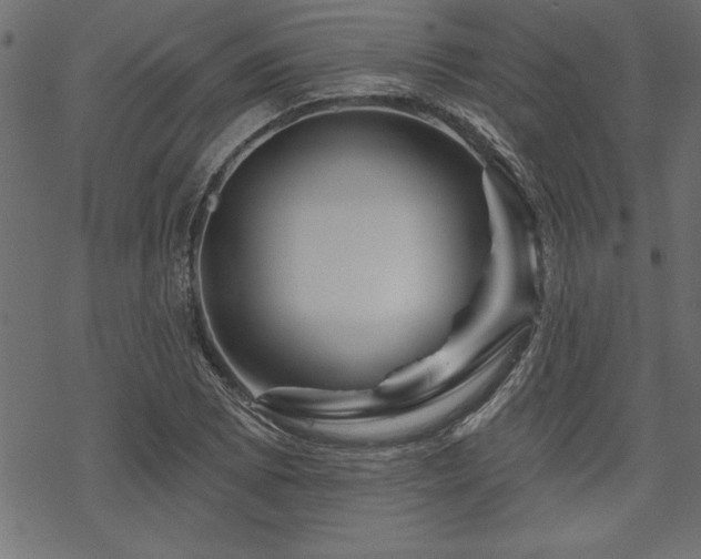 X0000070181073200605261127