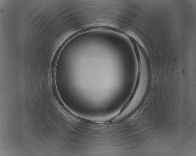 X0000070181076200605261127