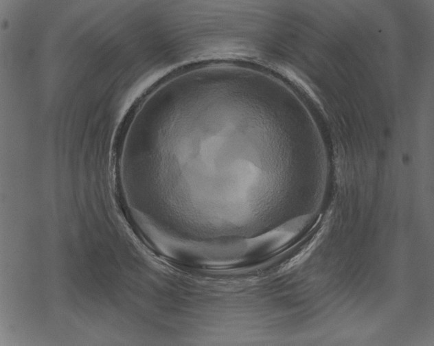 X0000070181077200605261127