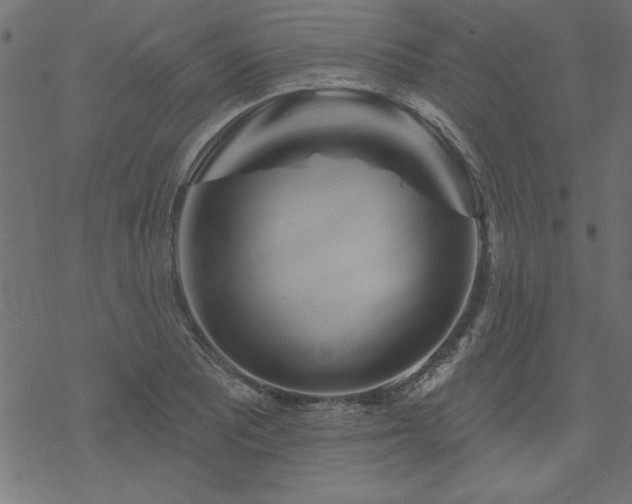 X0000070181081200605261126