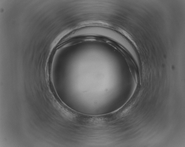 X0000070181082200605261126