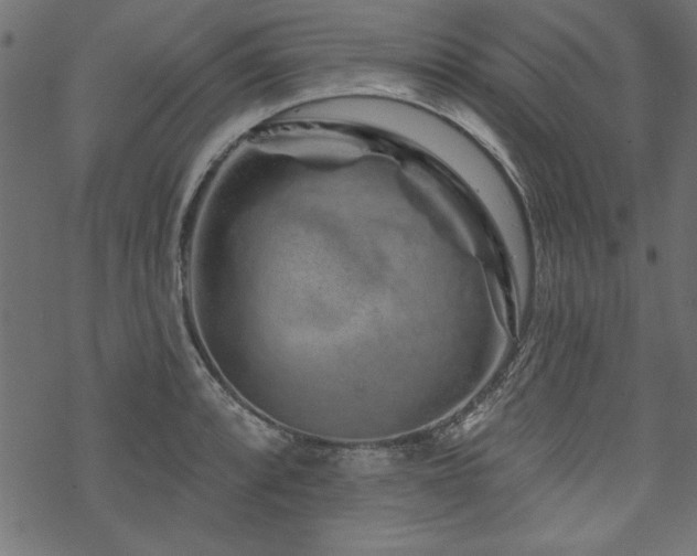 X0000070181088200605261126