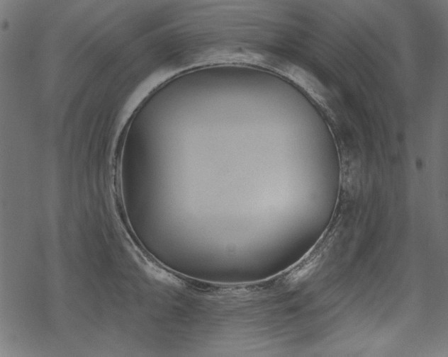 X0000070181094200605261126