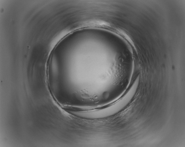X0000070181103200605261126