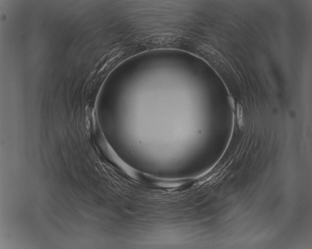 X0000070181107200605261125