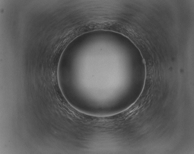 X0000070181109200605261125