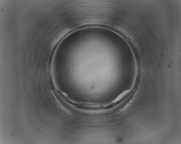 X0000070181129200605261126