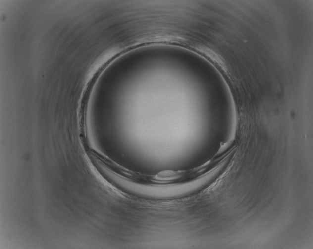 X0000070181135200605261126