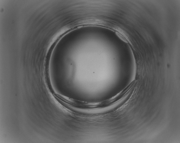 X0000070181139200605261126