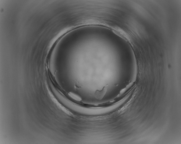 X0000070181142200605261126
