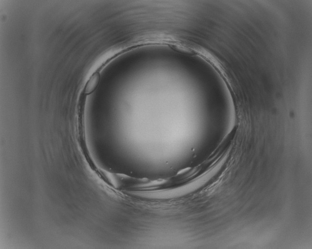 X0000070181147200605261126