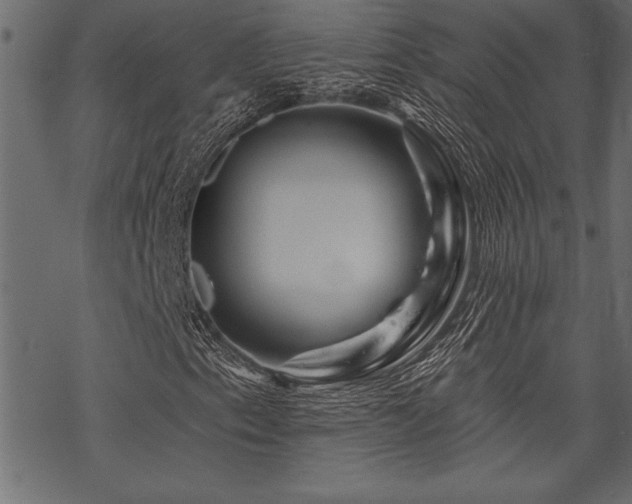 X0000070181153200605261125